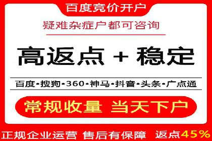 SEM托管公司案例研究：优化策略解析